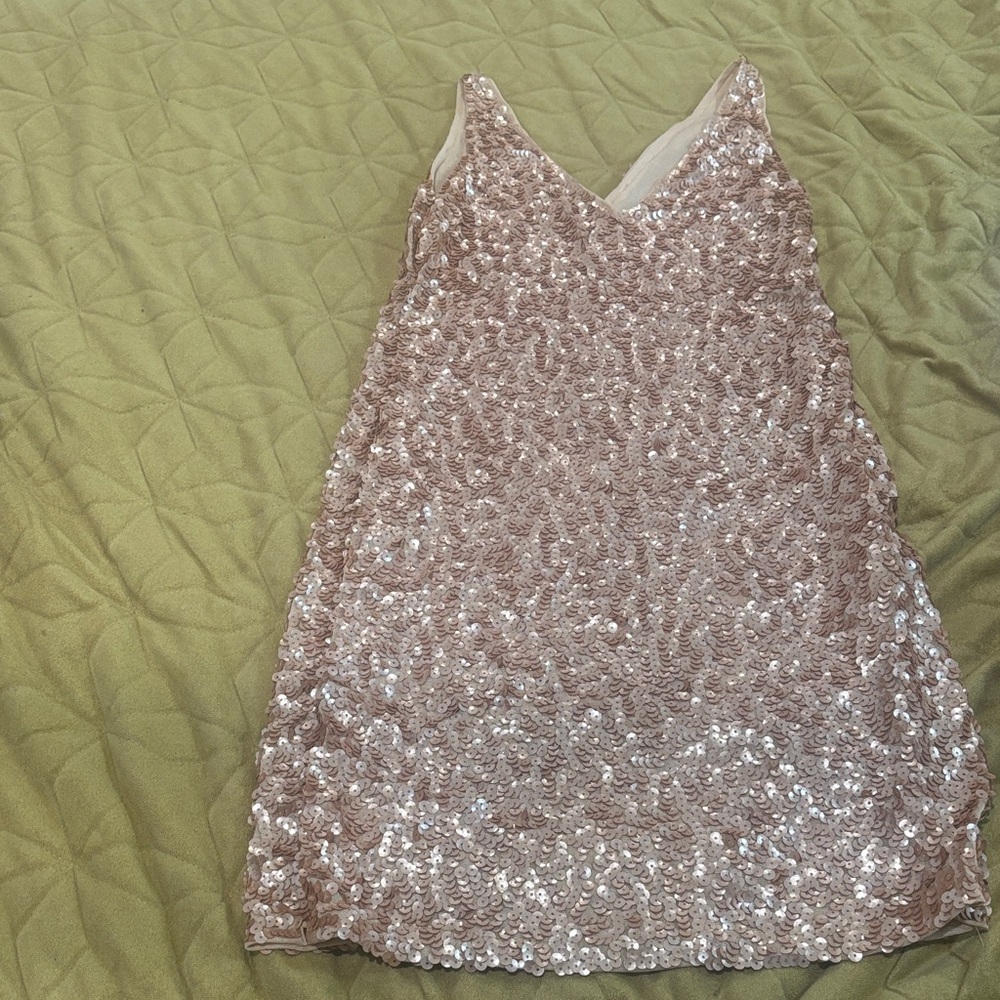 Sparkling Sequin Dress